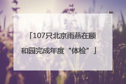 107只北京雨燕在颐和园完成年度“体检”
