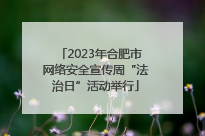2023年合肥市网络安全宣传周“法治日”活动举行