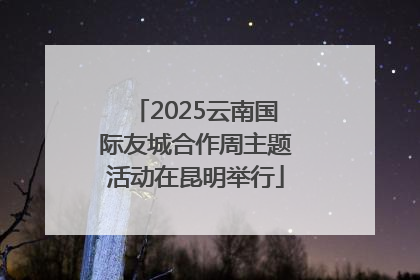 2025云南国际友城合作周主题活动在昆明举行