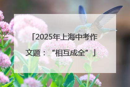 2025年上海中考作文题：“相互成全”