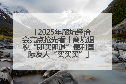 2025年廊坊经洽会亮点抢先看丨离境退税“即买即退”便利国际友人“买买买”