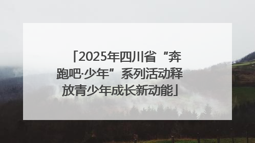 2025年四川省“奔跑吧·少年”系列活动释放青少年成长新动能