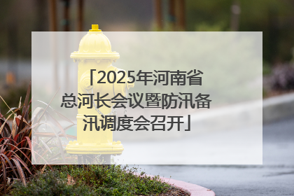 2025年河南省总河长会议暨防汛备汛调度会召开