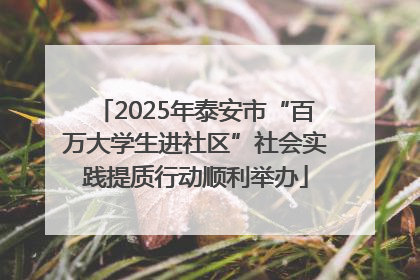 2025年泰安市“百万大学生进社区”社会实践提质行动顺利举办