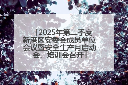 2025年第二季度新港区安委会成员单位会议暨安全生产月启动会、培训会召开