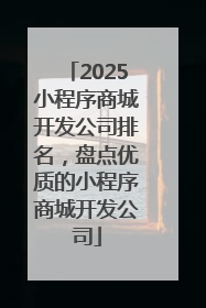 2025小程序商城开发公司排名，盘点优质的小程序商城开发公司