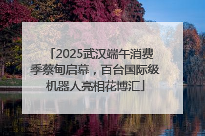2025武汉端午消费季蔡甸启幕，百台国际级机器人亮相花博汇