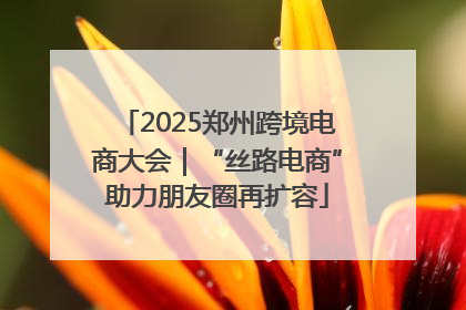 2025郑州跨境电商大会｜“丝路电商”助力朋友圈再扩容