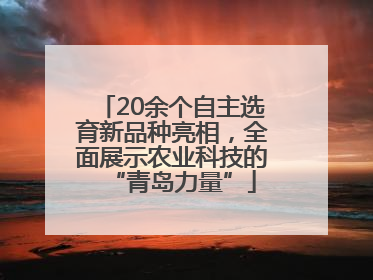 20余个自主选育新品种亮相，全面展示农业科技的“青岛力量”
