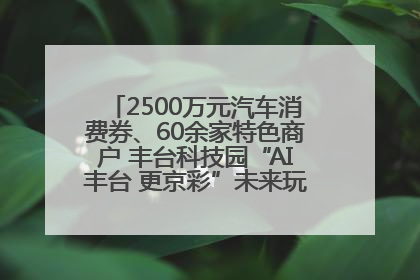 2500万元汽车消费券、60余家特色商户 丰台科技园“AI丰台 更京彩”未来玩家市集活动正式开幕