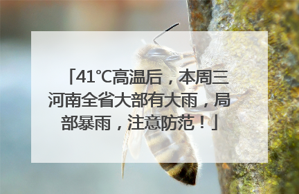 41℃高温后，本周三河南全省大部有大雨，局部暴雨，注意防范！