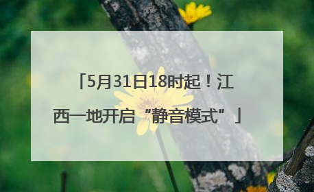 5月31日18时起！江西一地开启“静音模式”