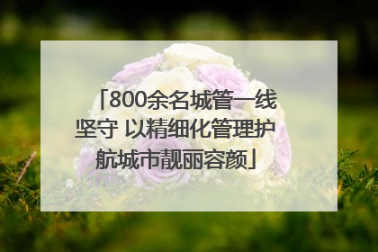 800余名城管一线坚守 以精细化管理护航城市靓丽容颜