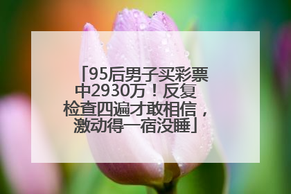 95后男子买彩票中2930万！反复检查四遍才敢相信，激动得一宿没睡