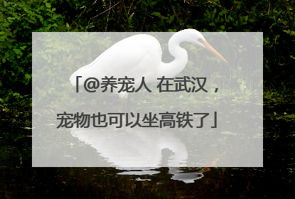 @养宠人 在武汉，宠物也可以坐高铁了
