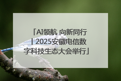 AI领航 向新同行丨2025安徽电信数字科技生态大会举行