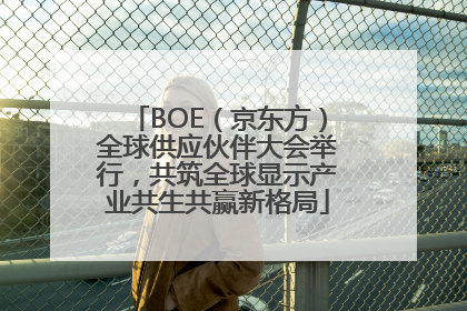 BOE（京东方）全球供应伙伴大会举行，共筑全球显示产业共生共赢新格局