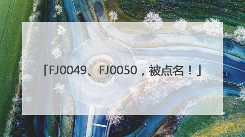 FJ0049、FJ0050，被点名！