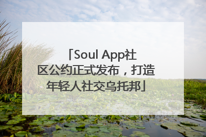 Soul App社区公约正式发布，打造年轻人社交乌托邦